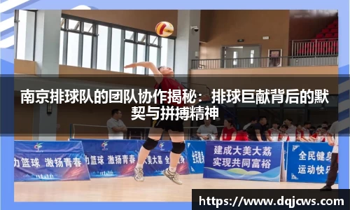 jn江南·体育登录入口